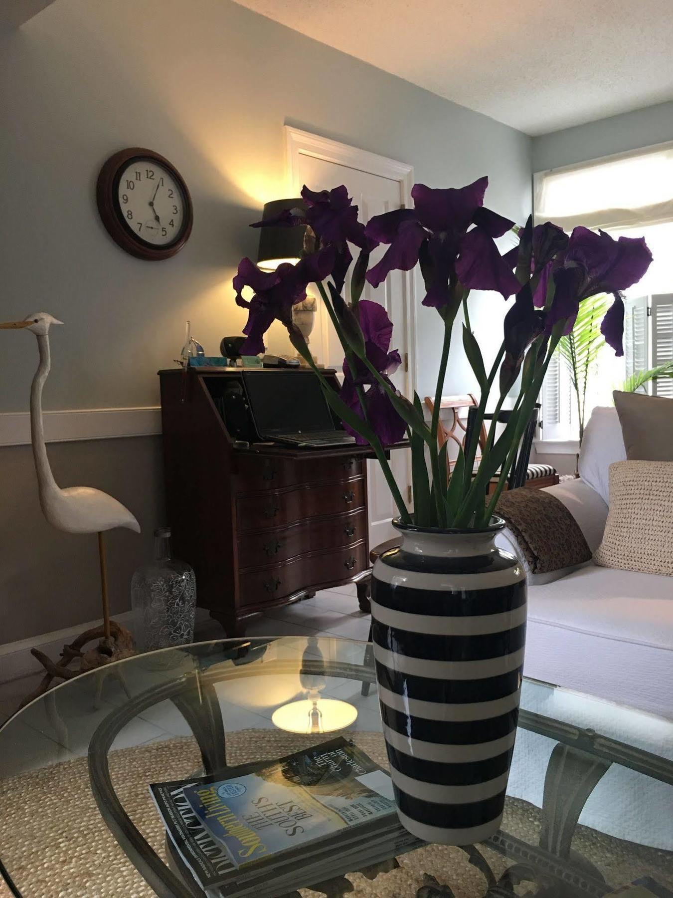 Barclay Cottage Bed And Breakfast Вирджиния-Бич Экстерьер фото