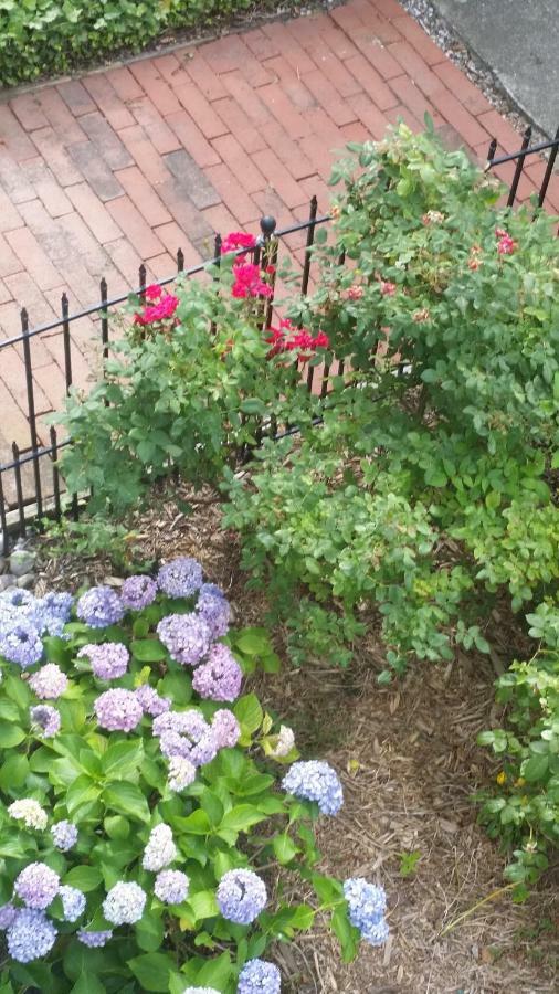 Barclay Cottage Bed And Breakfast Вирджиния-Бич Экстерьер фото