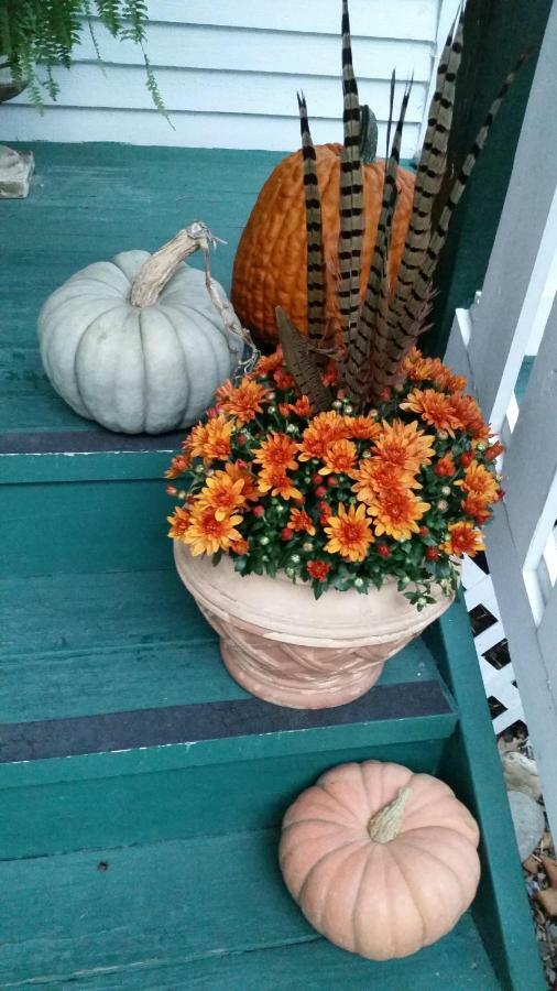 Barclay Cottage Bed And Breakfast Вирджиния-Бич Экстерьер фото